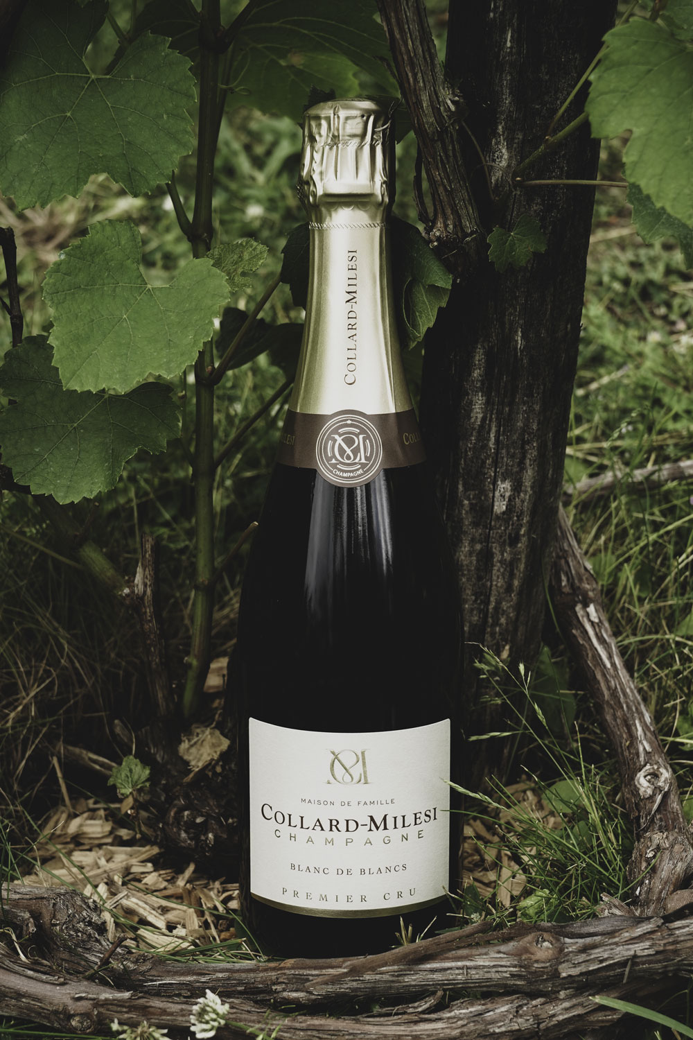 Champagne Collard-Milesi Blanc de Blancs Brut Premier Cru