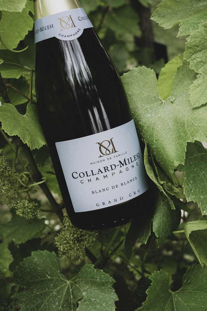 Bouteille Collard-Milesi Extra Brut Grand Cru