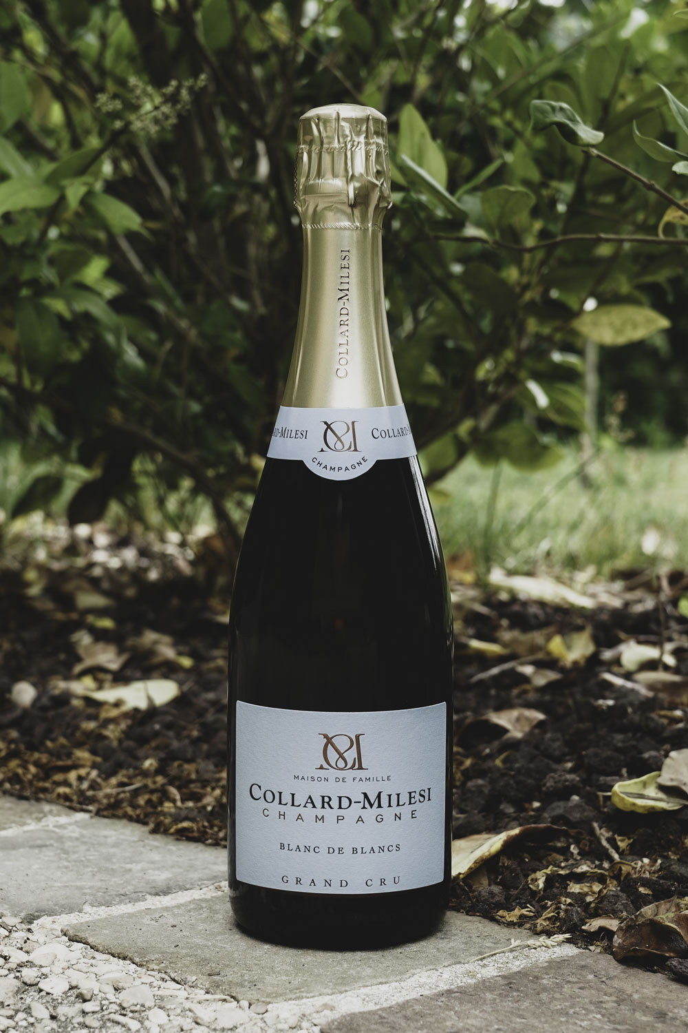 Champagne Collard-Milesi Blanc de Blancs Extra Brut Grand Cru