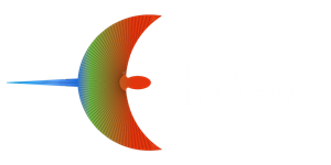 Red Macaw - AI Solutions for Business