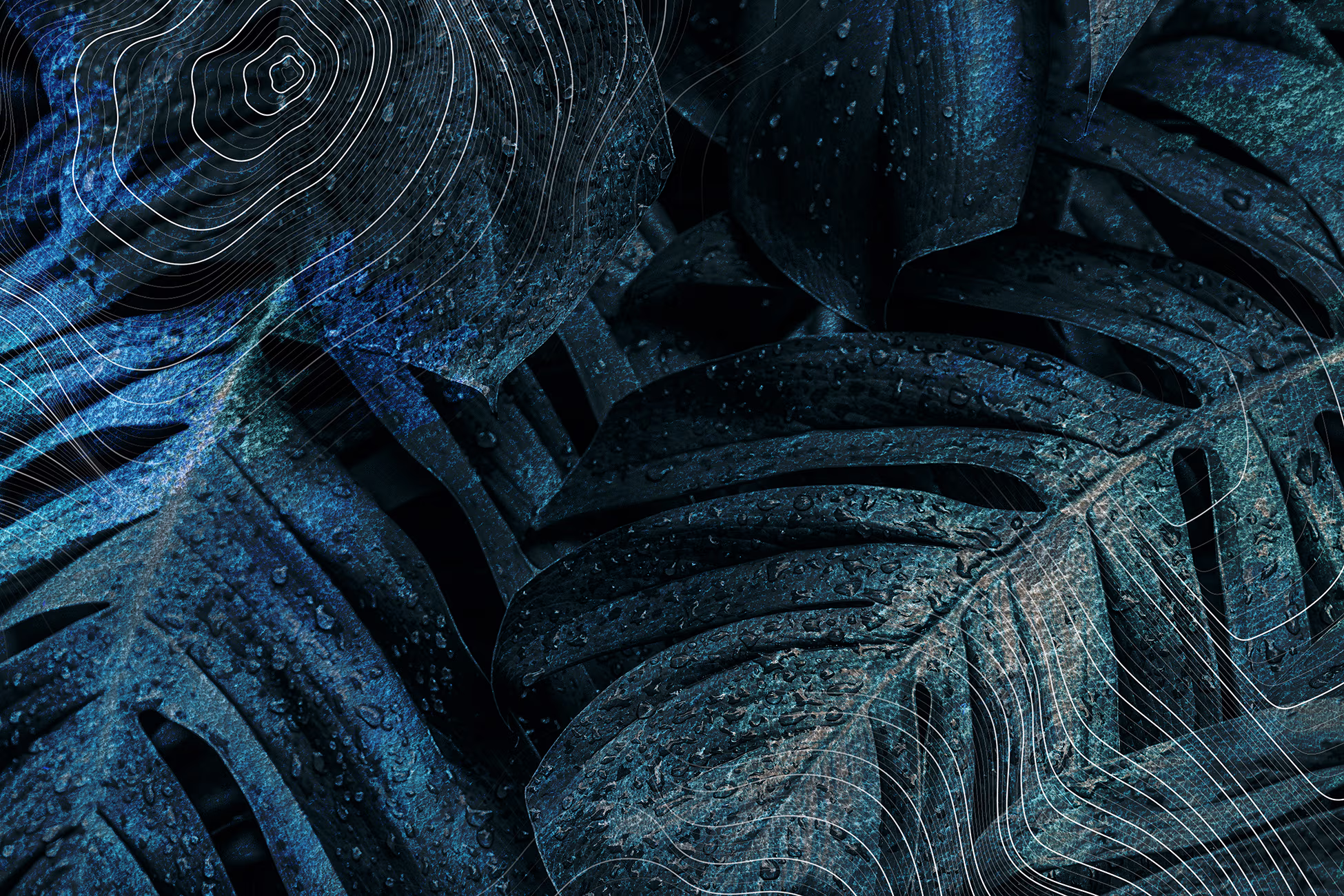 Abstract textured background with curved lines.