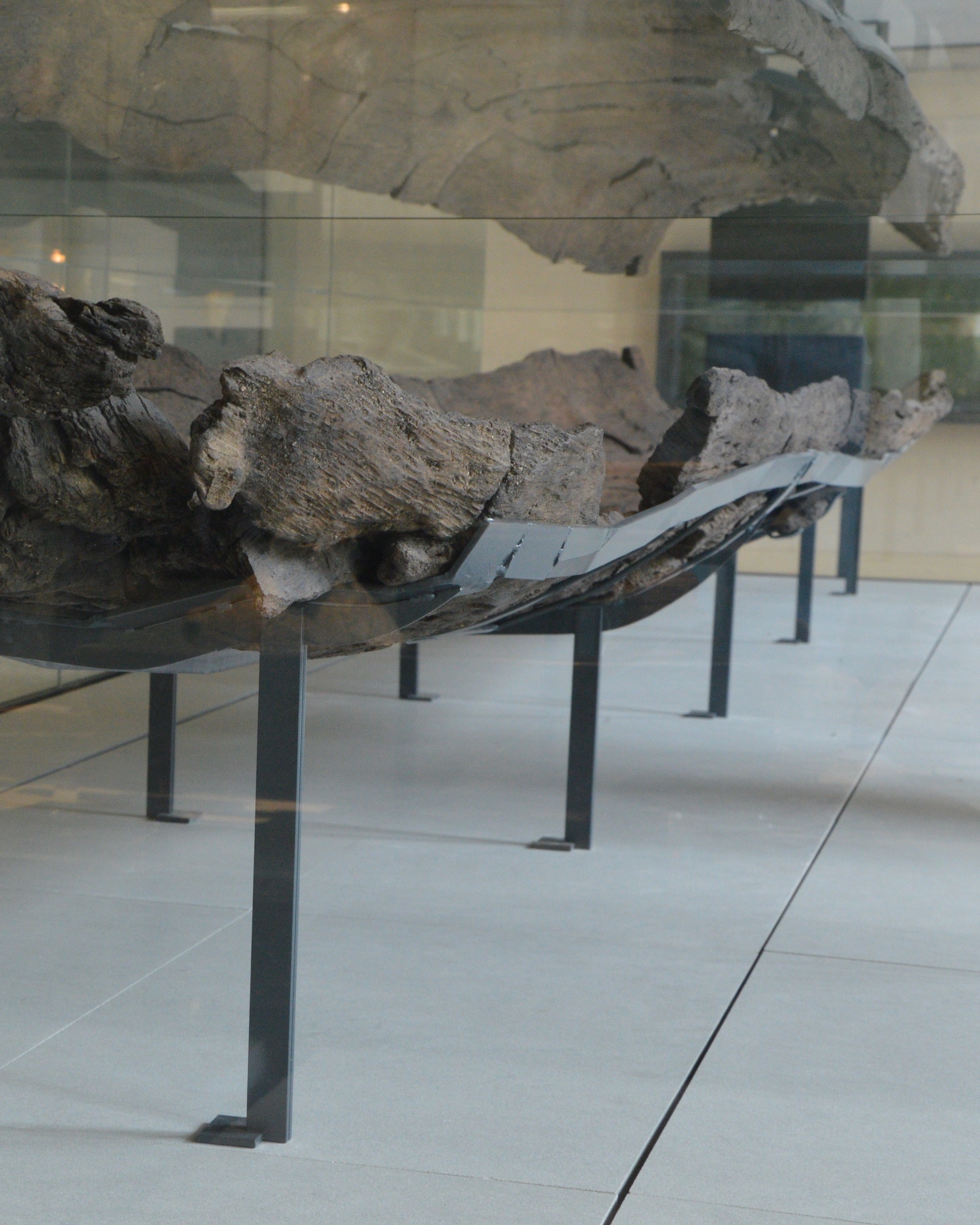 Vue d'une pirogue datant de la préhistoire