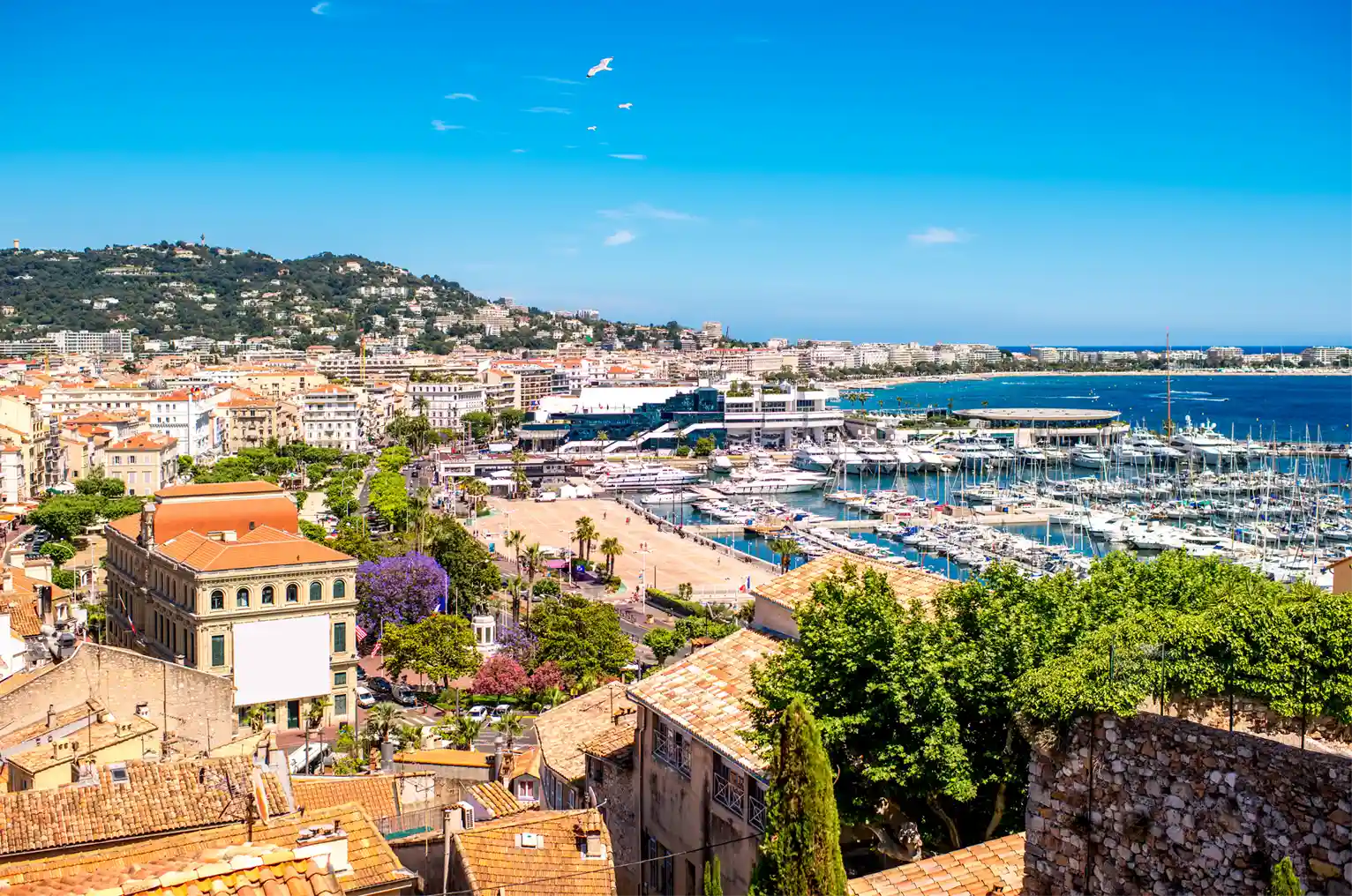 Royale regate cannes