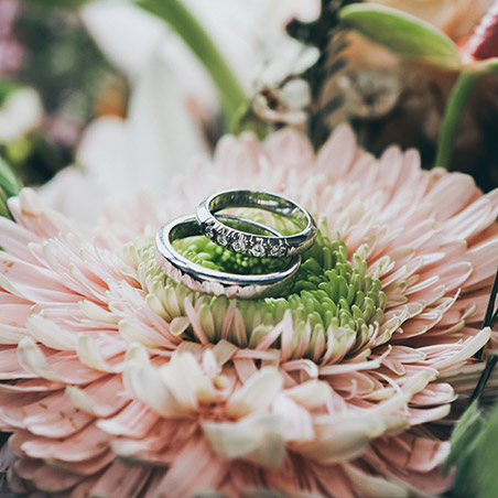 Rings - Blume Photography Webflow Template