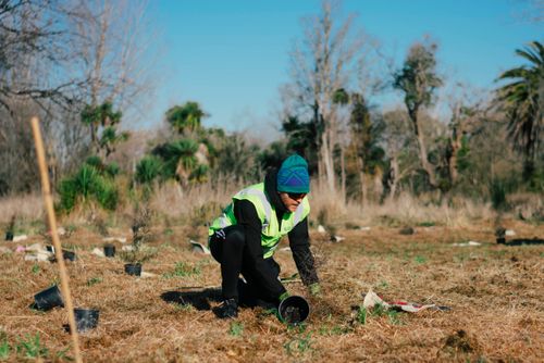 christchurch planting action day