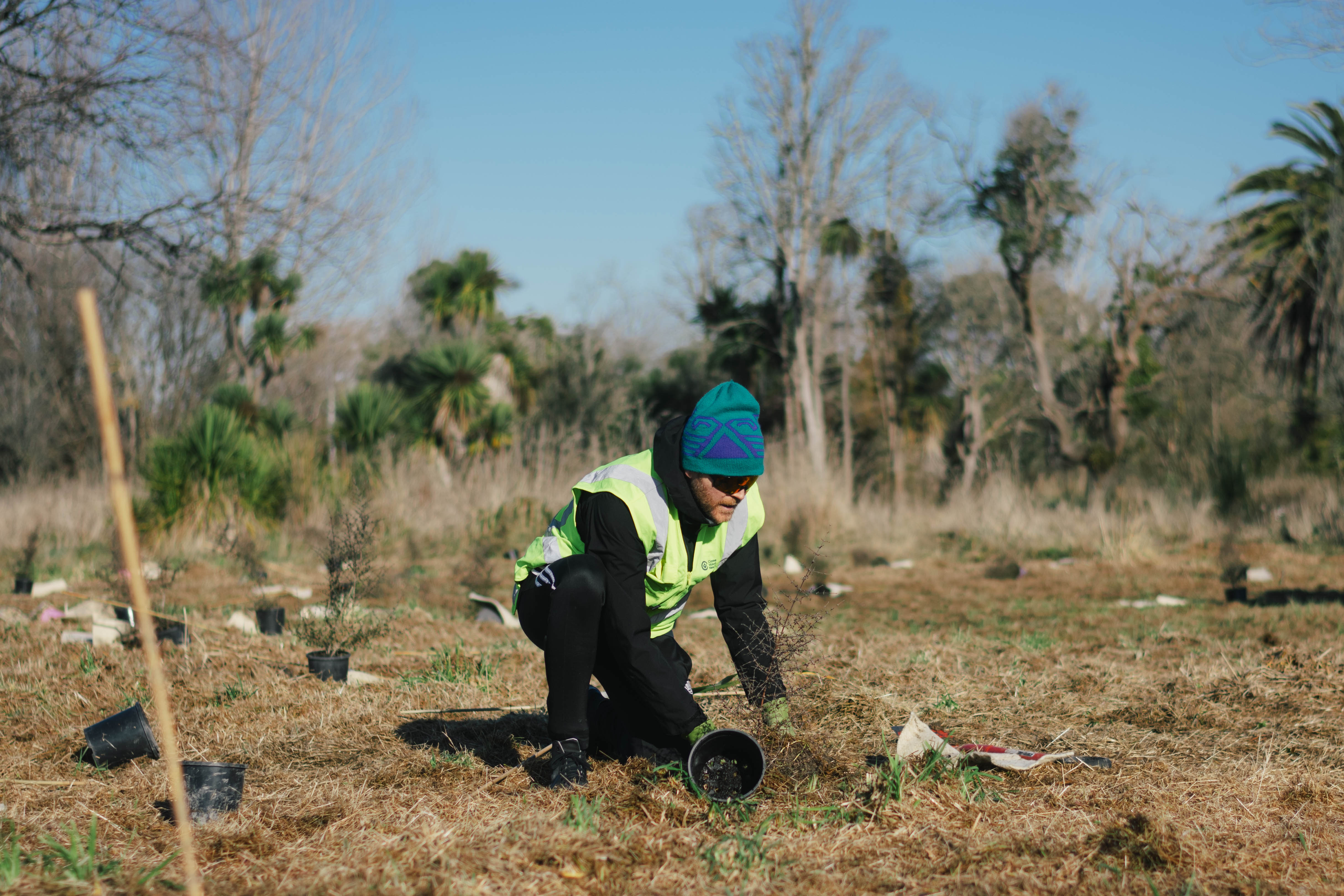christchurch planting action day