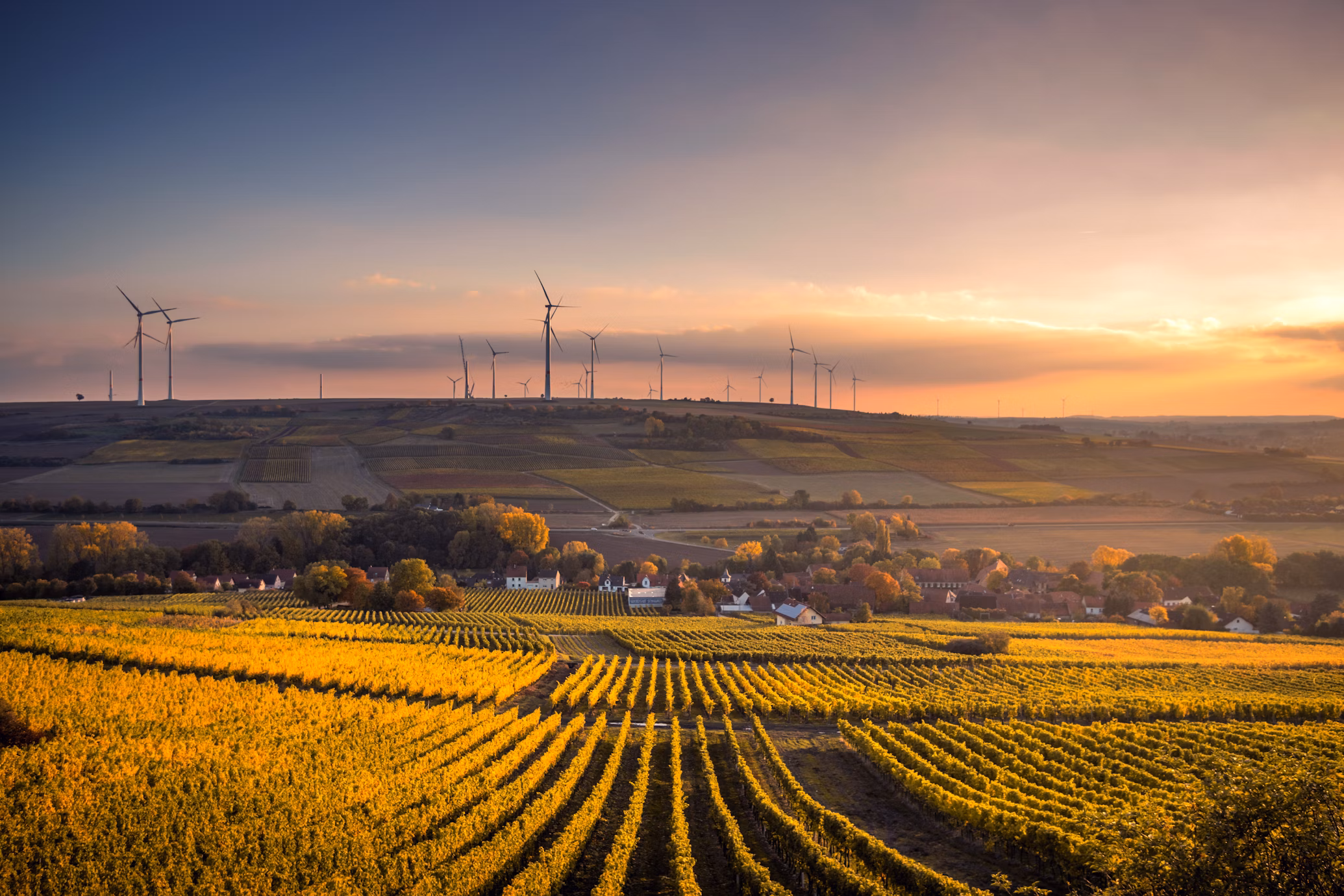 Time Series Forecasting of Agricultural Product Prices Using Elman and Jordan Recurrent Neural Networks