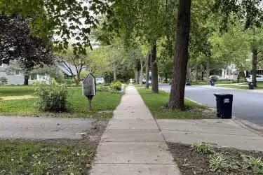 Shaded walk