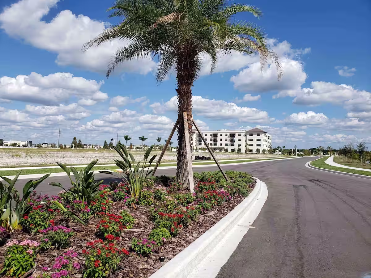 Landscaped median surrounded by nothing except one far away apartment building