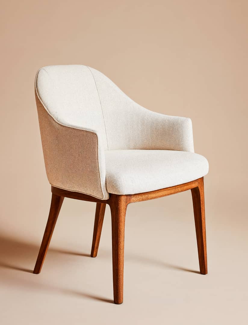 Stylish Modern Dining Chair