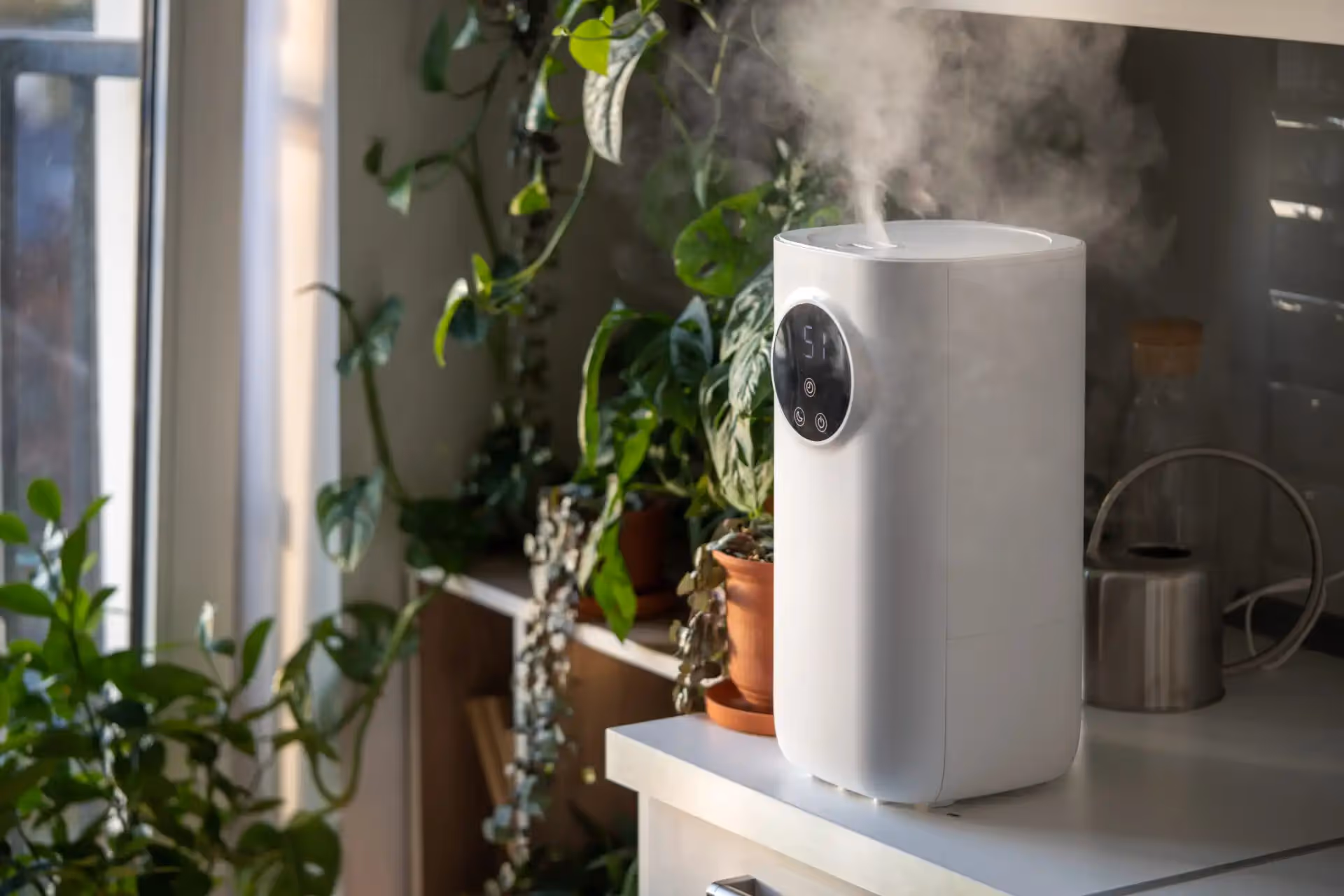 Improving Indoor Air Quality: The Benefits of Whole House Dehumidifiers
