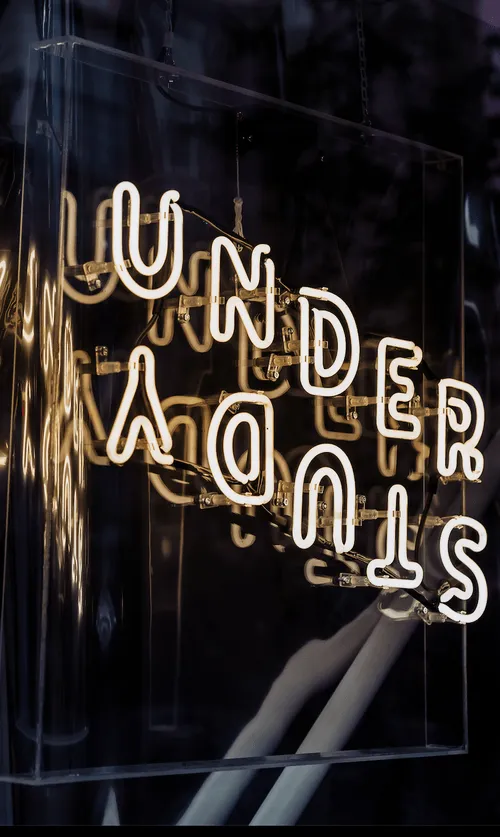Understudy Neon lights on window