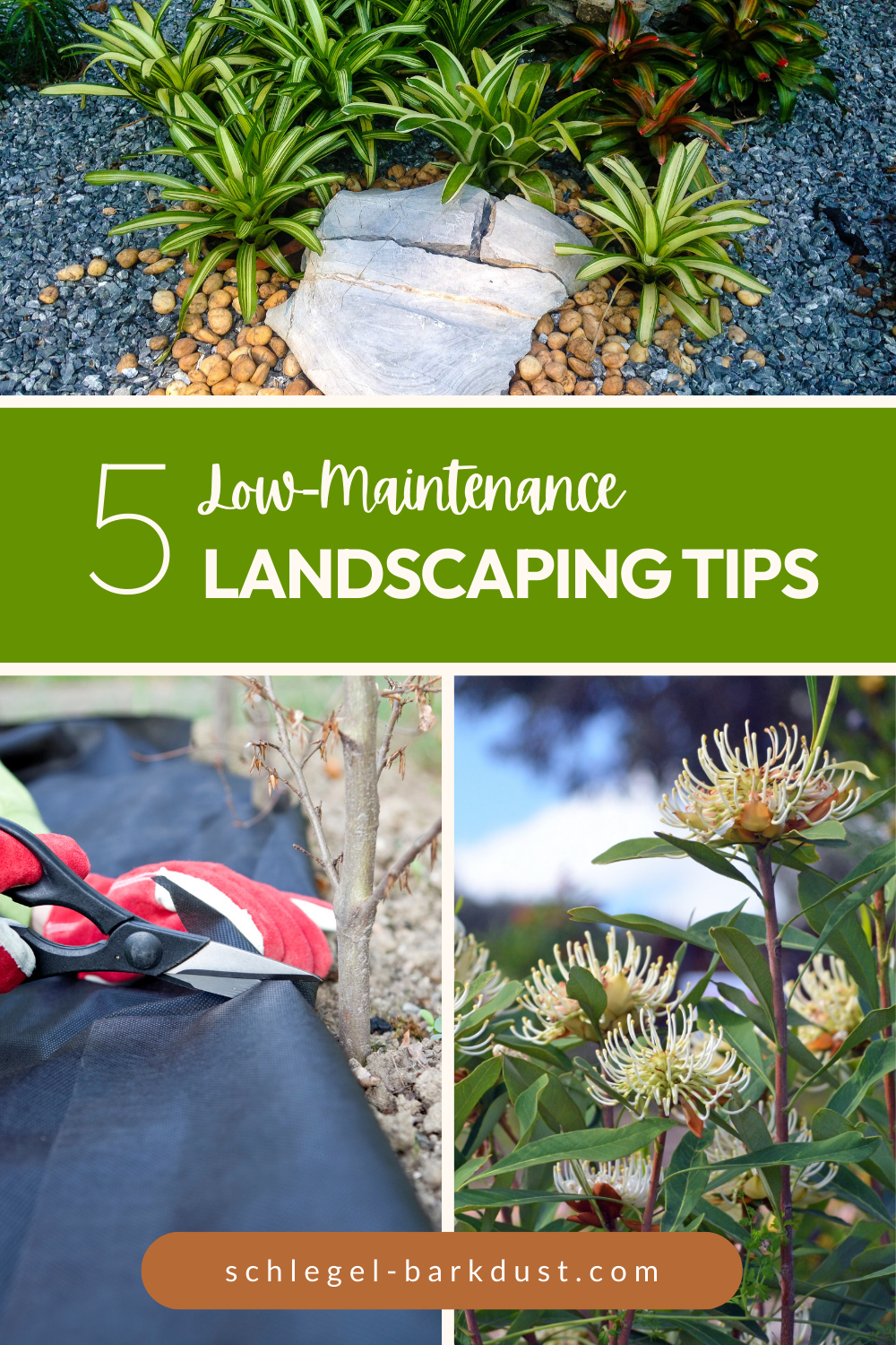 A collage highlighting 3 low maintenance landscaping ideas; rock gardens, using landscaping fabric to suppress weed growth, and using native, drought tolerant plants. A text overlay that reads "5 Low Maintenance Landscaping Tips"