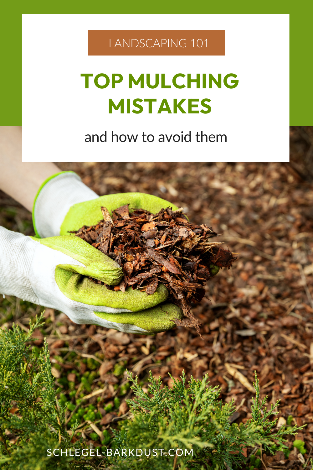 Two gloved hands applying bark dust to a garden bed. A text overlay that reads "Landscaping 101. Top Mulching Mistakes and How to Avoid Them"