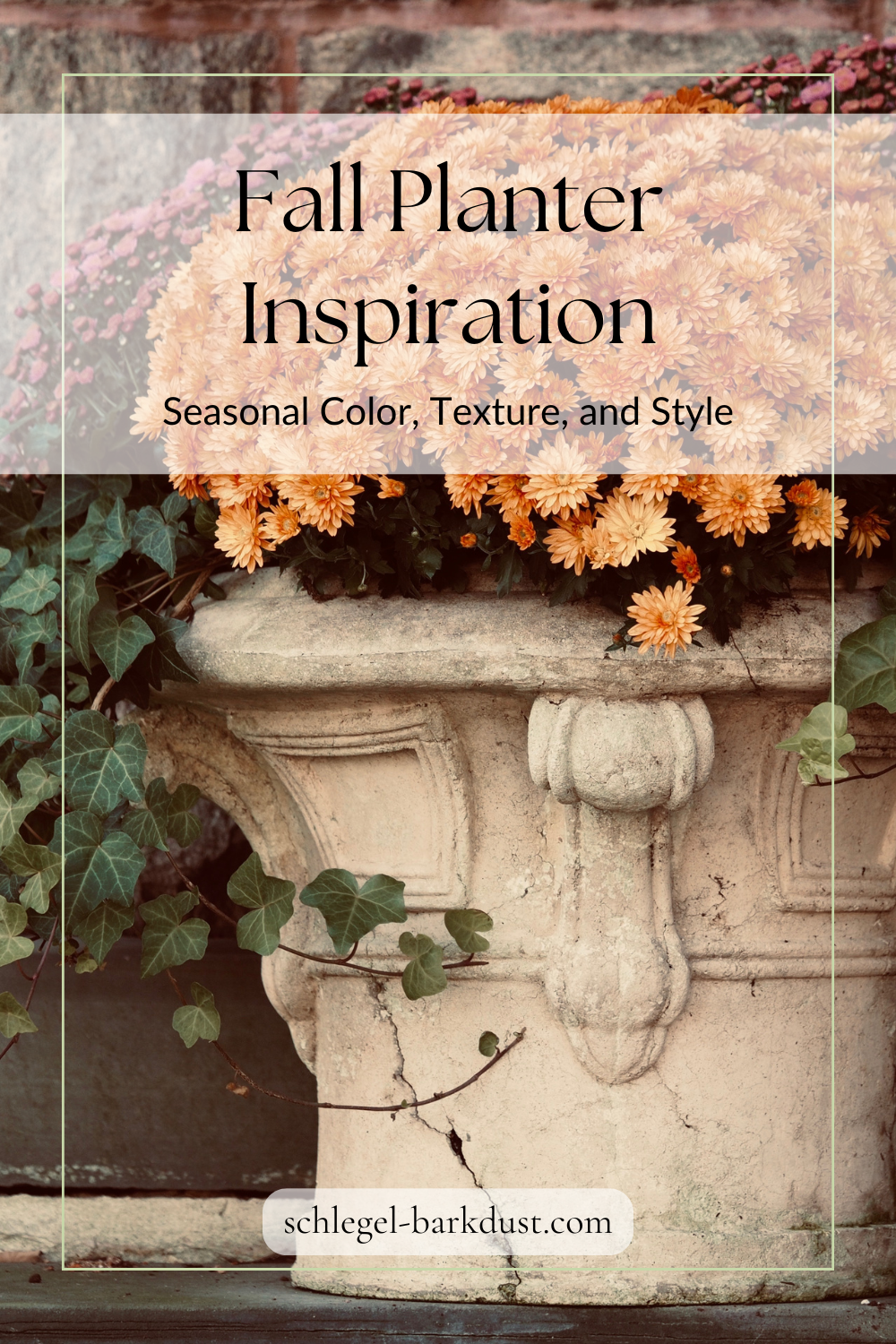 A cement planter filled with fall flowers; chrysanthemums and ivy. A text overlay that reads "Fall Planter Inspiration. Seasonal colors, textures and style"