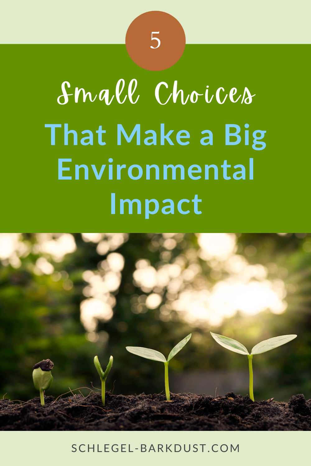 Plant sprouts breaking through the soil with the morning sun shining behind them. A text overlay reading "5 Small Yard Choices That Make a Big Environmental Impact"