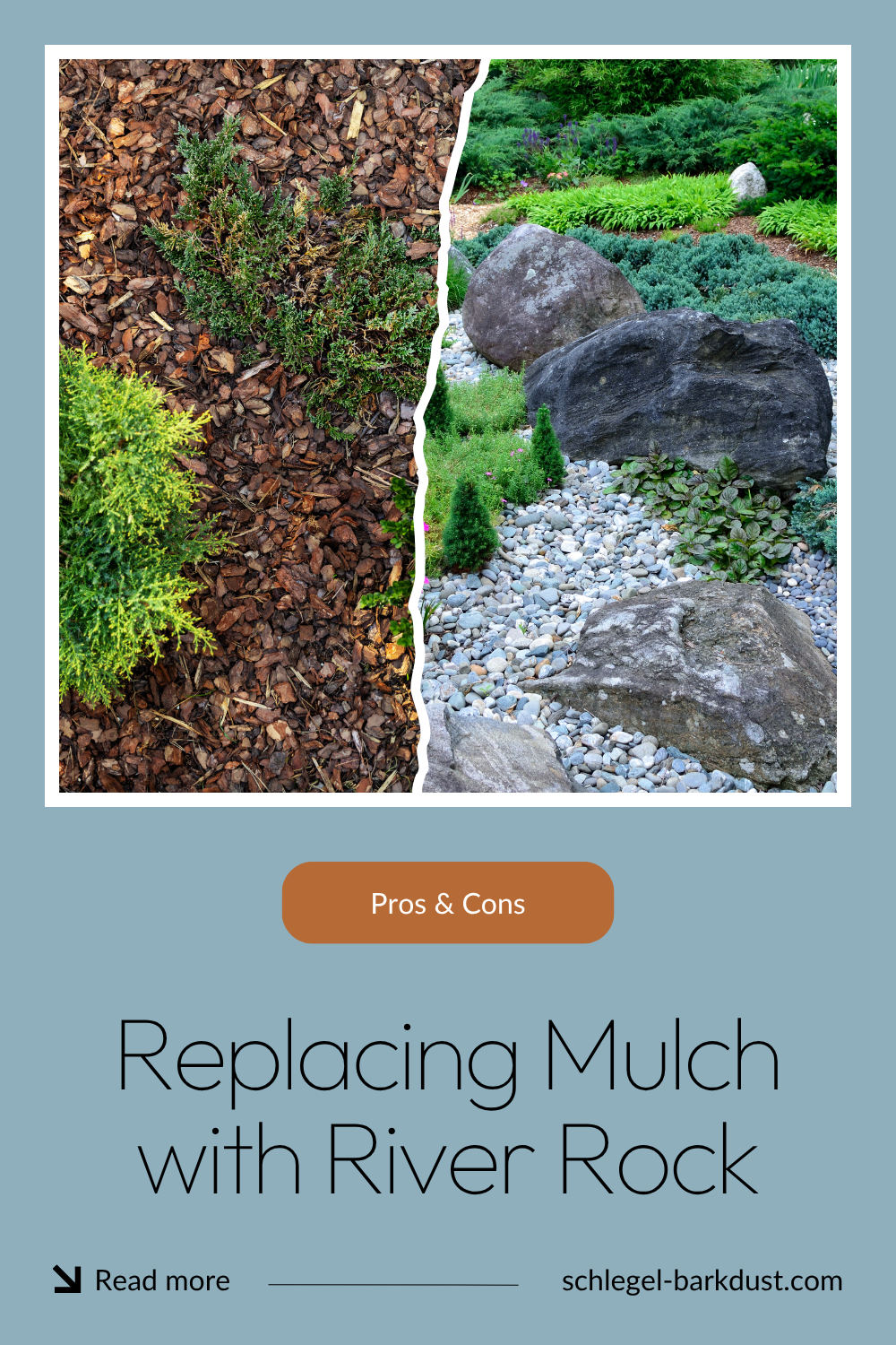 A comparison of a garden bed top dressed with bark dust and garden bed top dressed with river rock. A text overlay that reads "Pros and Cons, Replacing Mulch With Reiver Rock"