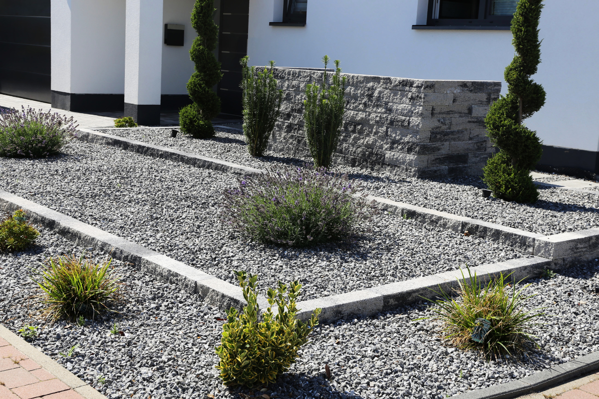 A modern house with a xeriscape garden with river rock used as ground cover around the plants