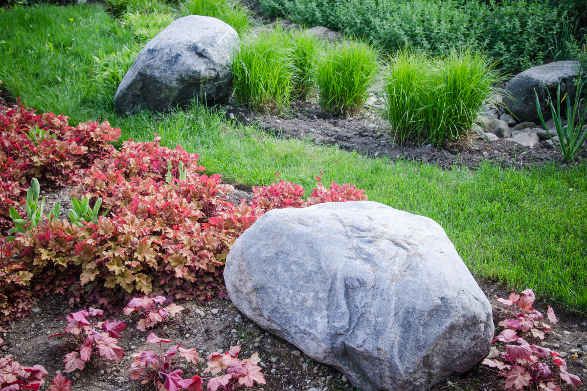 A garden bed with large Basalt Rock decorative stone accents