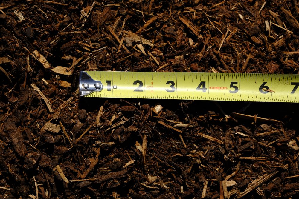 Close up of medium ground bark dust