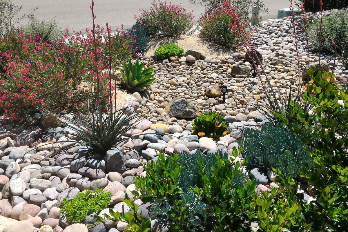 A colorful xeriscaped garden with montana river rock ground cover