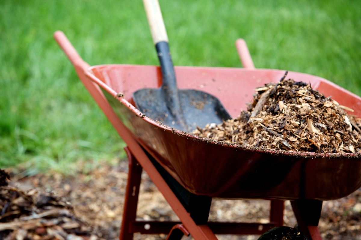 A wheelbarrow full of bark dust mulch along with a shovel
