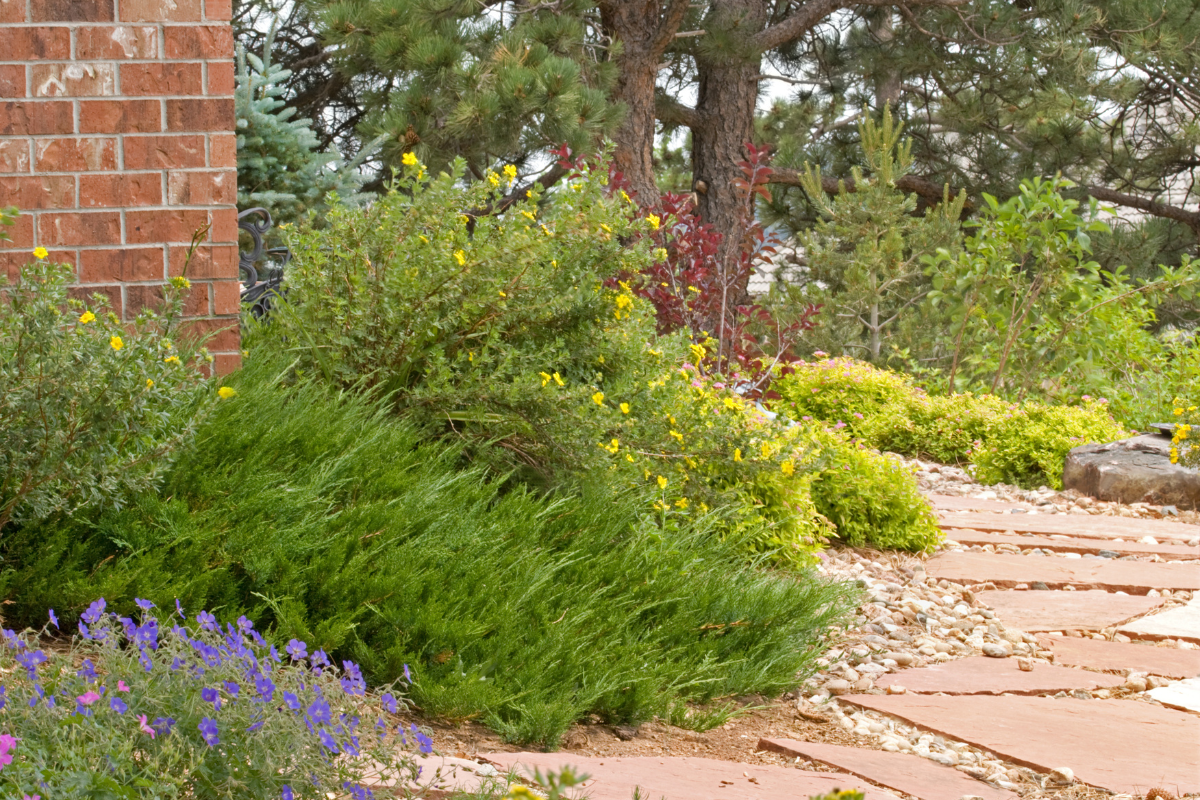 A xeriscaped yard along a brick house that utilizes bark dust, decorative rock, and flagstone to minimize watering needs