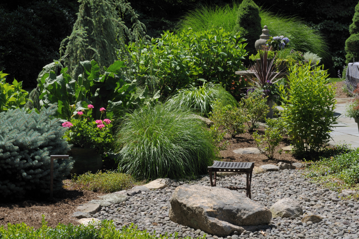 An attractive xeriscaped landscape in the Pacific Northwest