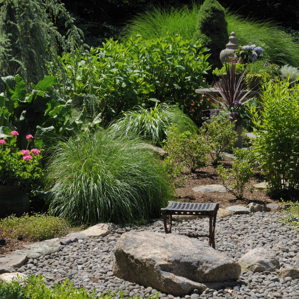 An attractive xeriscaped landscape in the Pacific Northwest