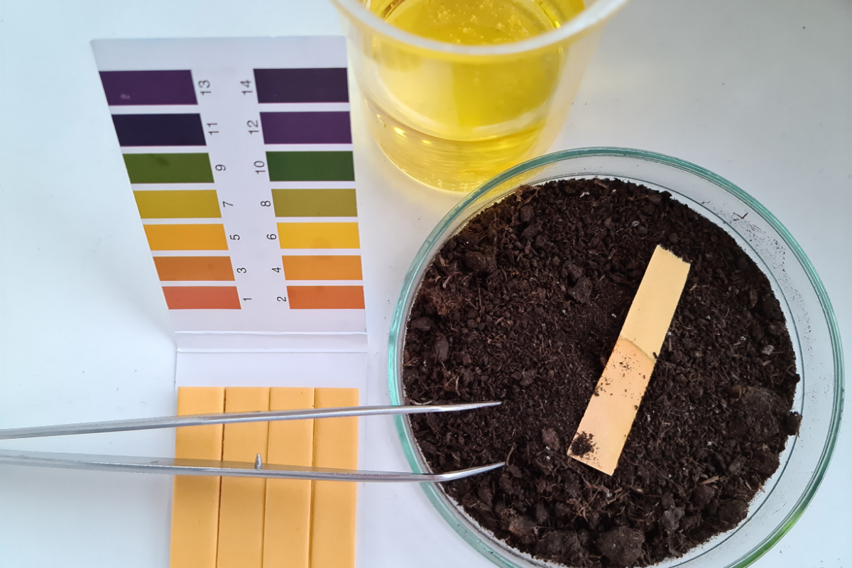 A soil pH testing strip kit