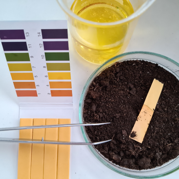 A soil pH testing strip kit