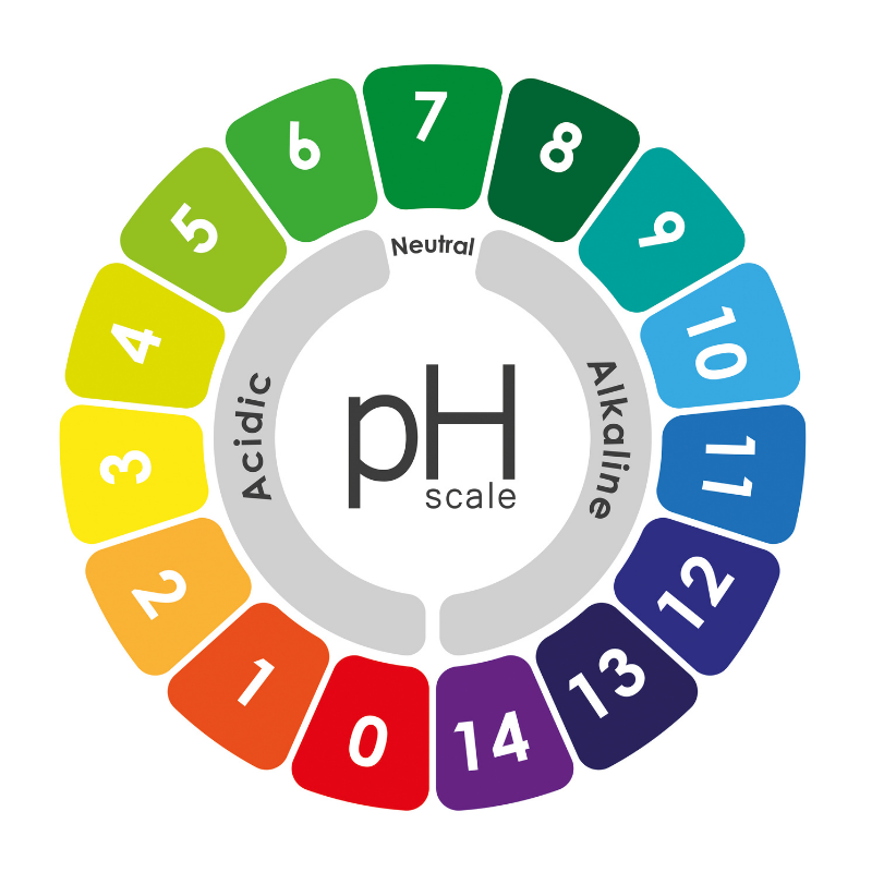 a pH scale graphic showing the acidic and alkaline ranges