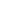 Phone icon white