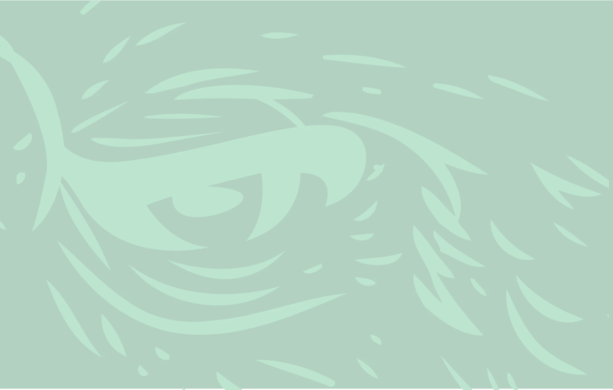 Subtle artistic background of Perico Energy Drink's parrot mascot used in the hero section of the homepage, promoting clean, zero-crash energy.