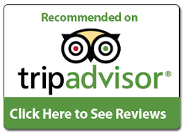 Tripadvisor reviews