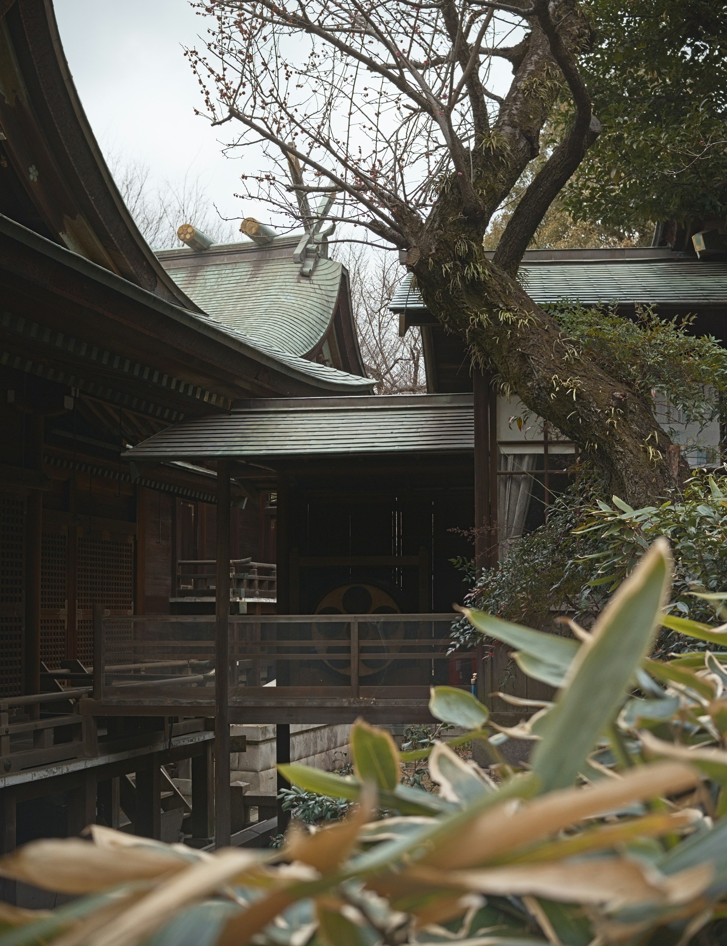 Japan is offering free and low-cost akiya (abandoned homes) due to population decline and rural migration. Discover why these homes are available, what the process looks like, and how foreigners can claim a free house in Japan—no citizenship required. 
