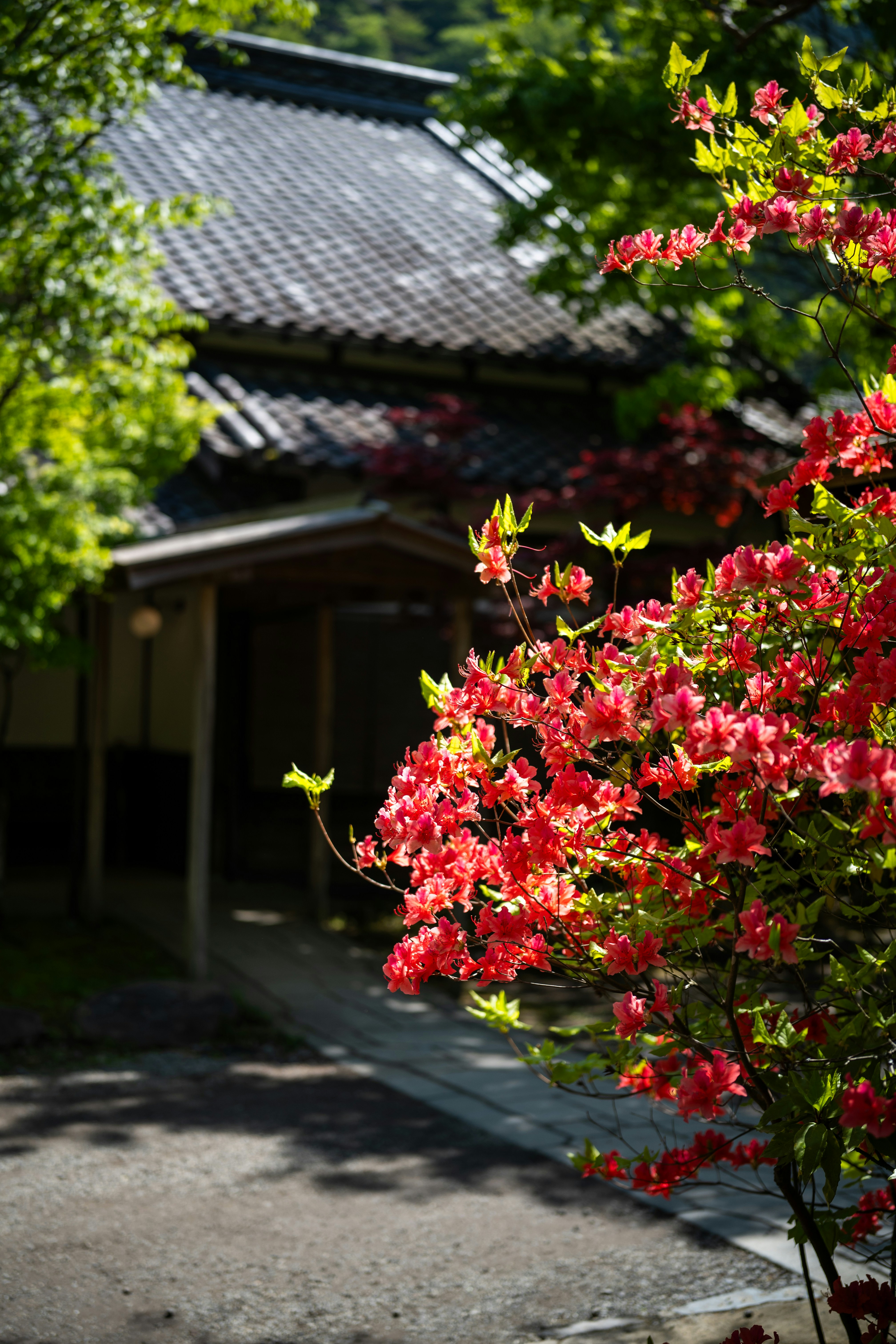 Are Japan’s free houses too good to be true? We break down the biggest myths about akiya homes—from haunted houses and hidden costs to foreign ownership rules. Discover the truth behind the headlines and how FreeAkiya.com makes the process easy.