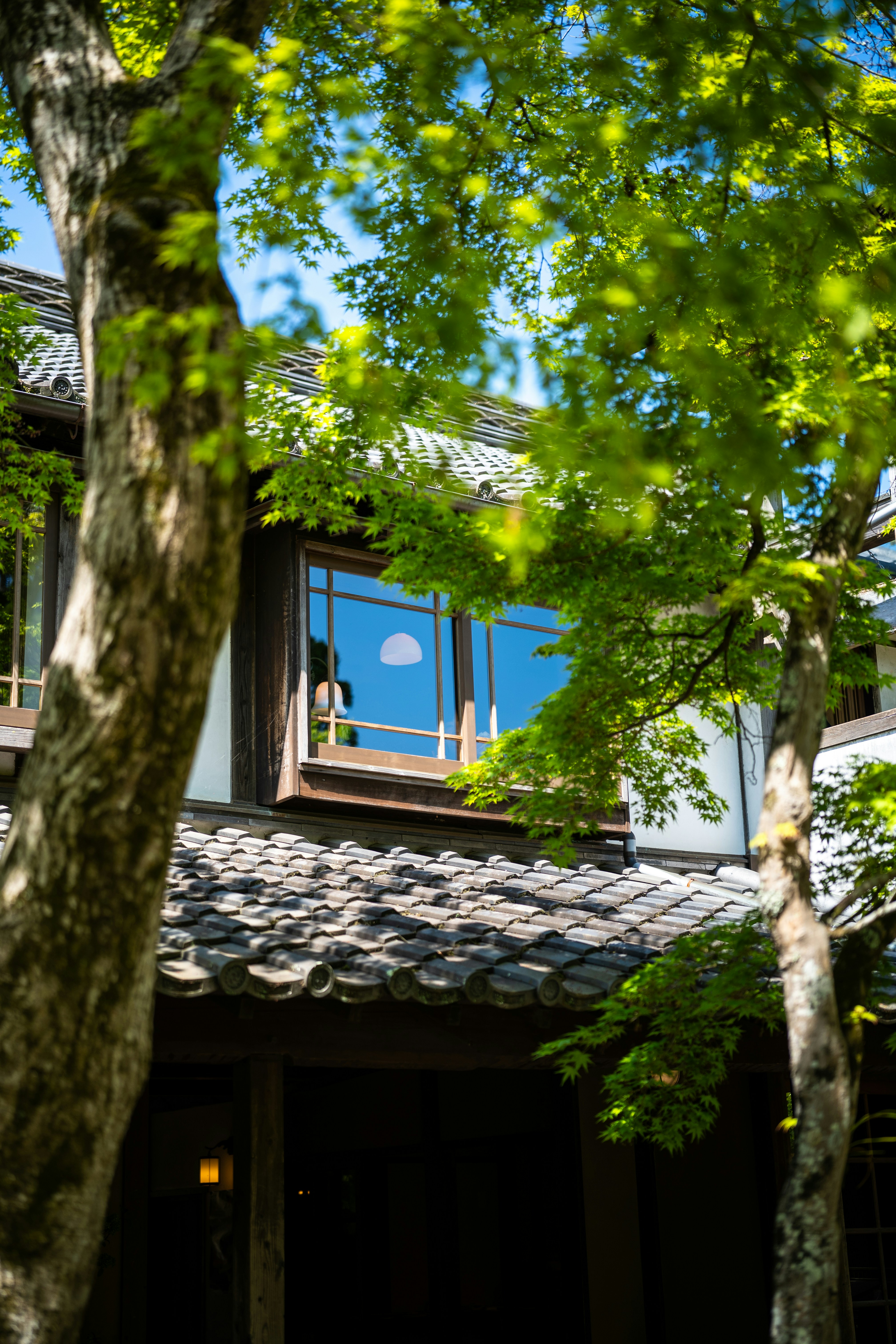 Wondering what an akiya is? These abandoned homes in Japan are now available for free or cheap through local programs. Learn why there are so many, how foreigners can buy them, and why akiya are turning into one of Japan’s most talked-about real estate trends.