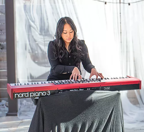 Professional entertainment production at Hamilton charity event