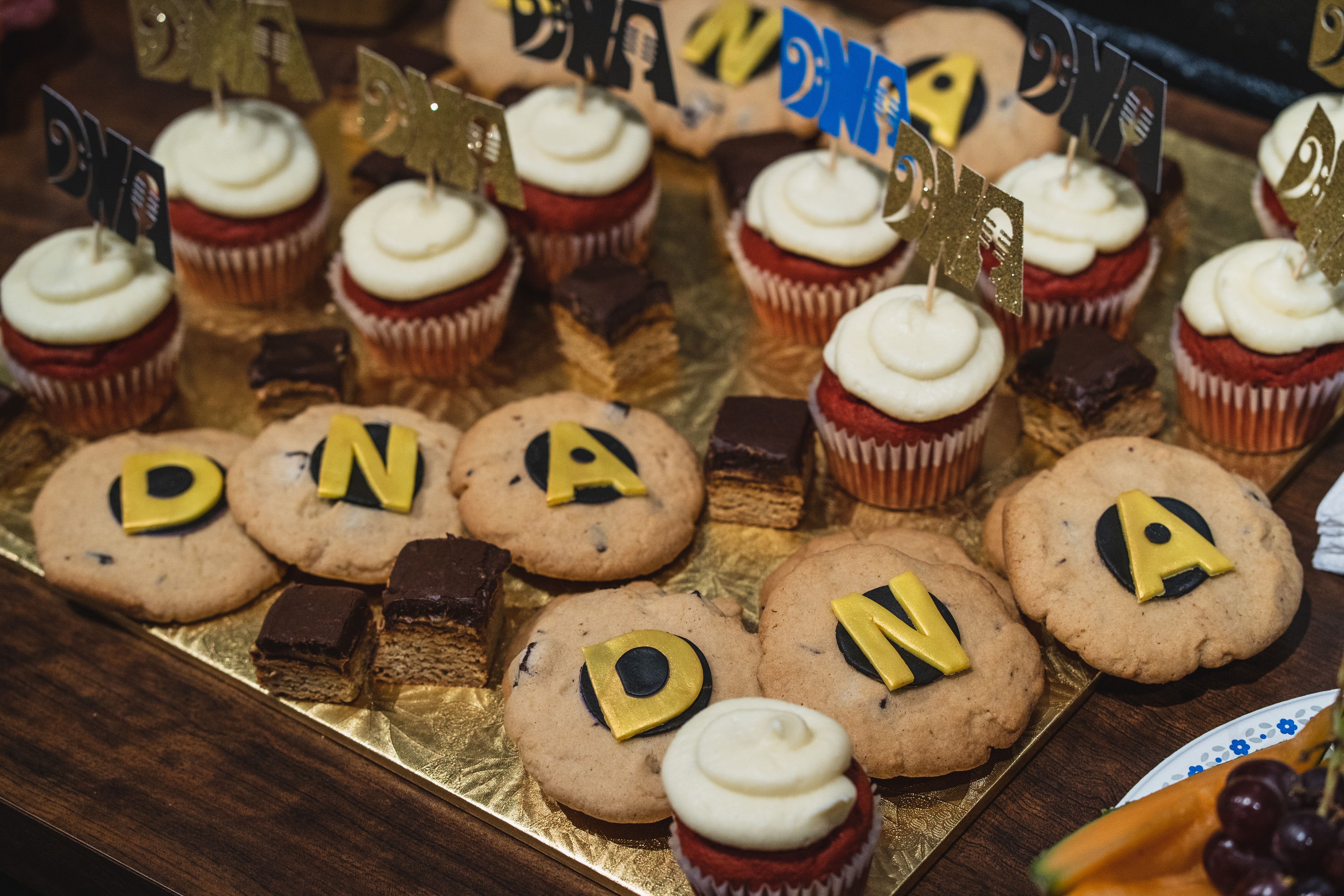 The DNA Project talent roster at Lynx Music Toronto recording studio showcase