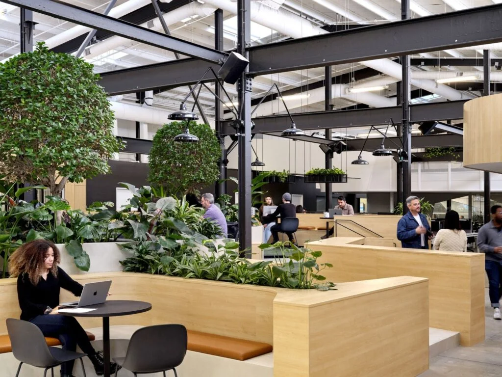 Modern open office space with wooden benches, green plants, and people working on laptops.