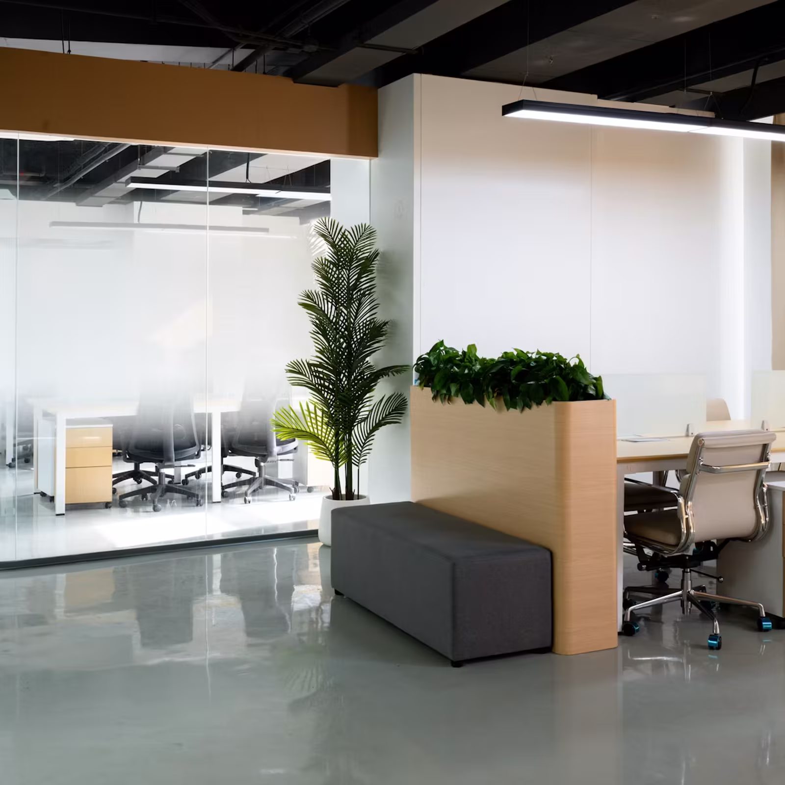 Glass-walled meeting rooms and open workspace in a modern soundproofed office