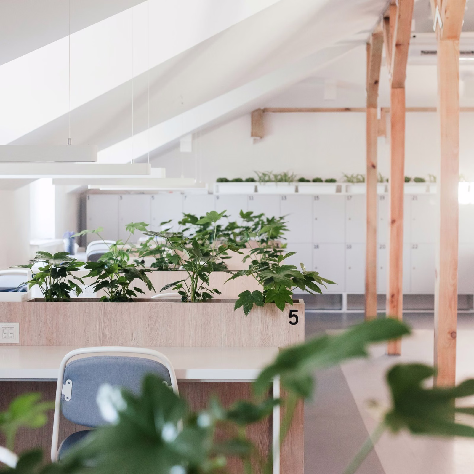 Bright modern coworking space with wooden desks, green indoor plants, comfortable seating and natural light beneath a sloped ceiling.
