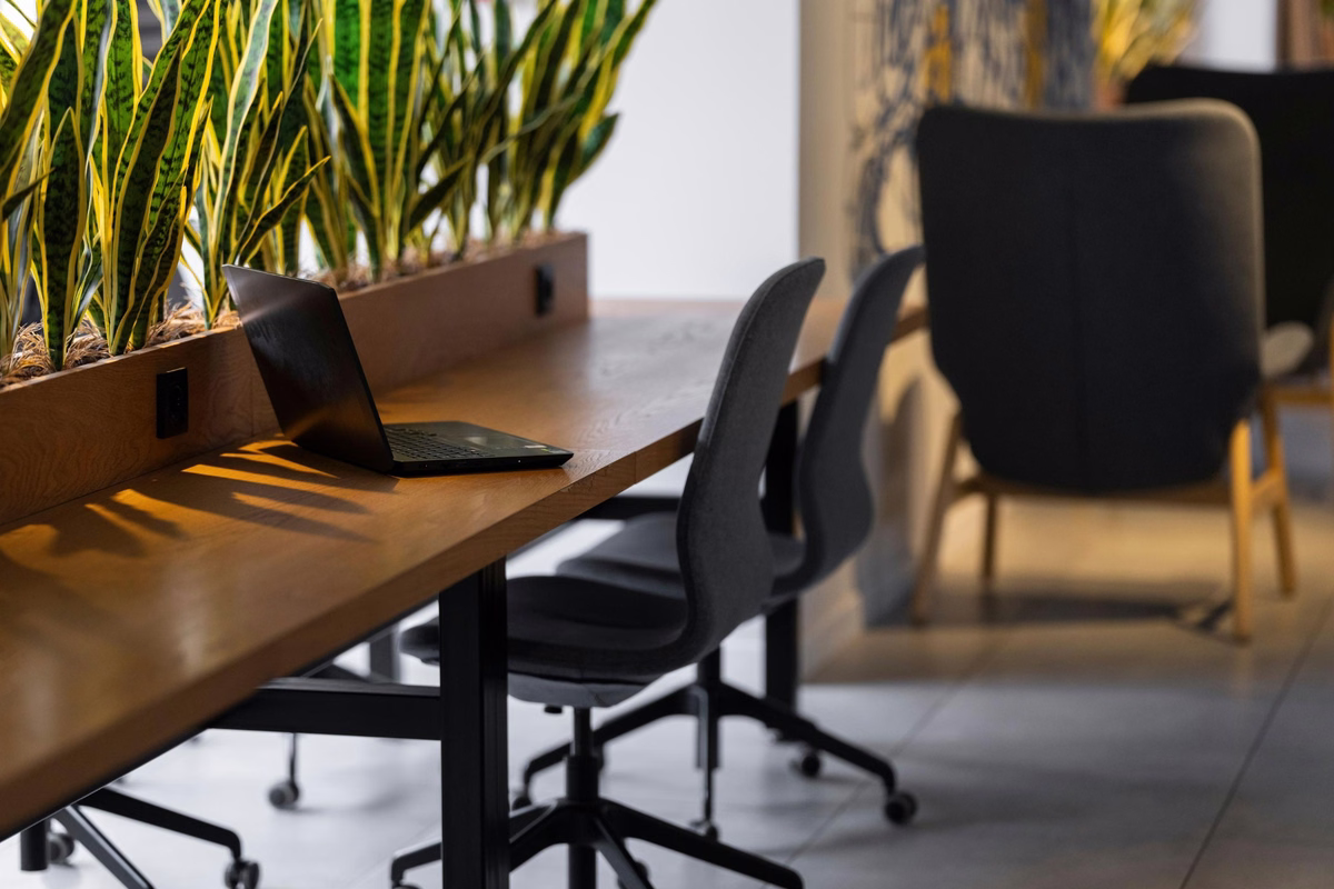 Modern coworking space with wooden shared desks, black office chairs, laptop and indoor plants in a bright workspace.