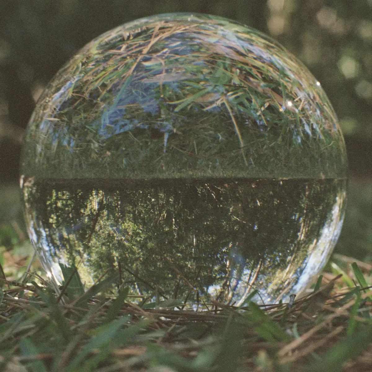 Darkside - Balance Spring