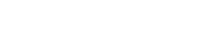 BT Logo White