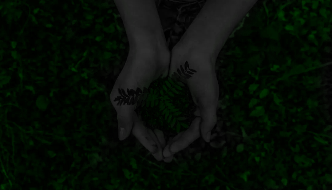 Sustainability Banner