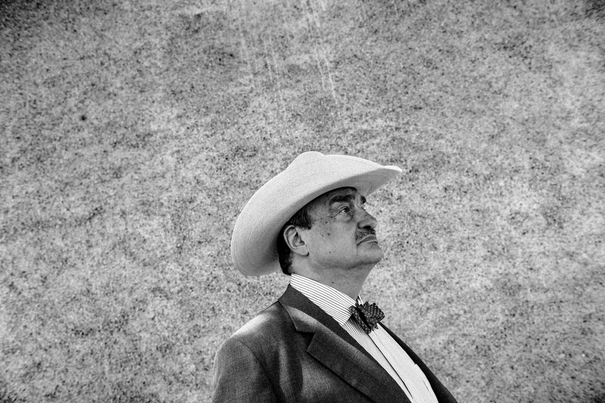 Karel Schwarzenberg na portrétu zamyšleně kouká do dálky.