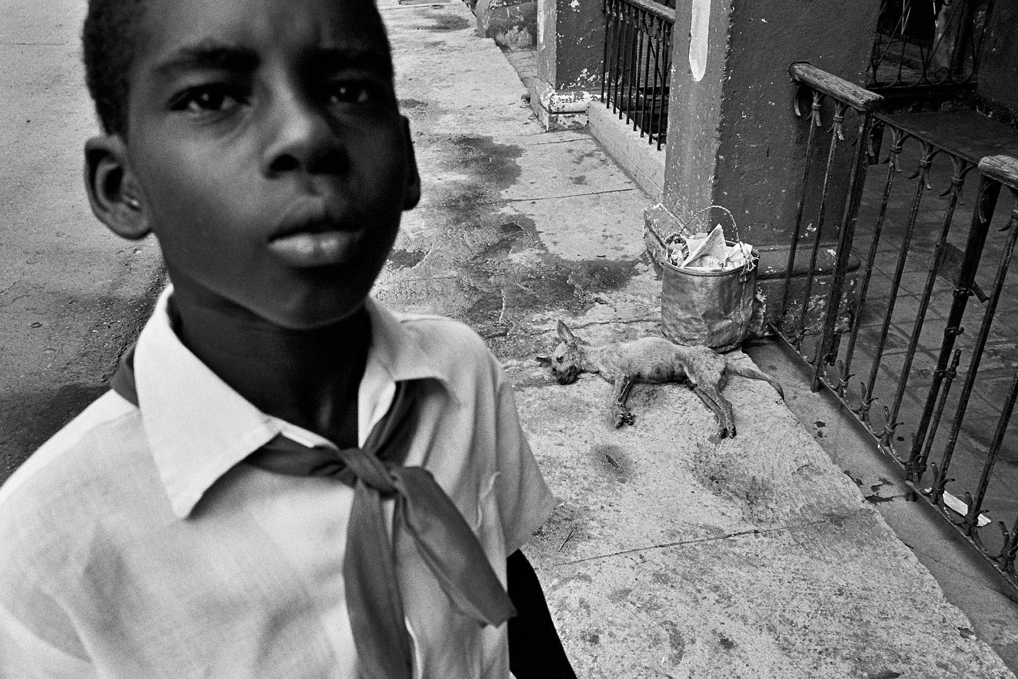 Mladý kubánský pionýr koukající do objektivu fotoaparátu. V pozadí leží mrtvý vyhladovělý pes.