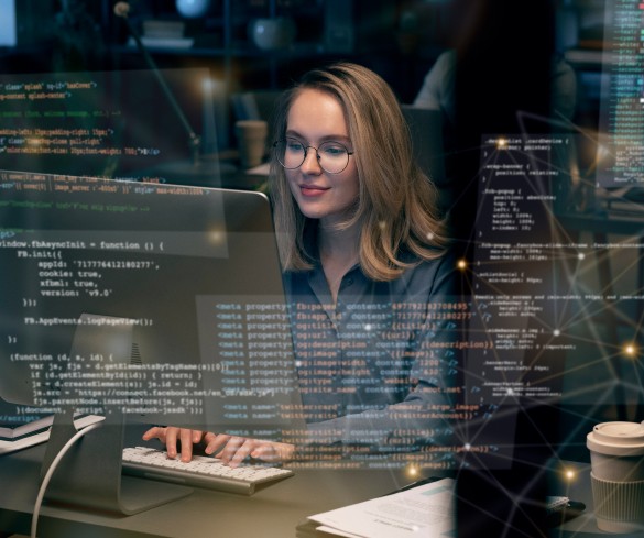A Beginner's Guide to Software as a Service